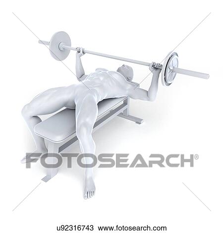 Bodybuilder, artwork View Large Illustration Drawing - Bodybuilder, artwork. Fotosearch