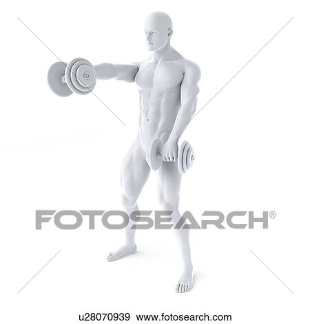 Bodybuilder, artwork View Large Illustration Stock Illustration - Bodybuilder, artwork. Fotosearch
