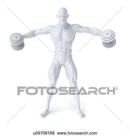 Bodybuilder, artwork View Large Illustration Stock Illustration - Bodybuilder, artwork. Fotosearch