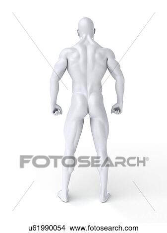 Bodybuilder, artwork View Large Illustration Stock Illustration - Bodybuilder, artwork. Fotosearch