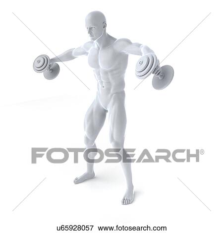 Stock Illustration - Bodybuilder, artwork. Fotosearch