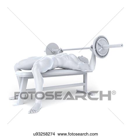 Bodybuilder, artwork View Large Illustration Stock Illustration - Bodybuilder, artwork. Fotosearch