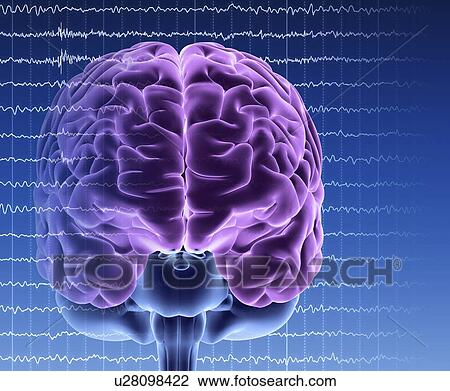Brain activity, artwork View Large Illustration Drawing - Brain activity, artwork. Fotosearch