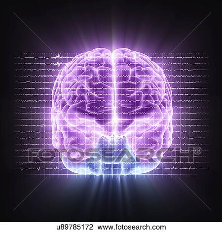 Brain activity, artwork View Large Illustration Drawing - Brain activity, artwork. Fotosearch