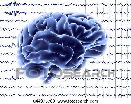 Brain activity, artwork View Large Illustration Stock Illustration - Brain activity, artwork. Fotosearch