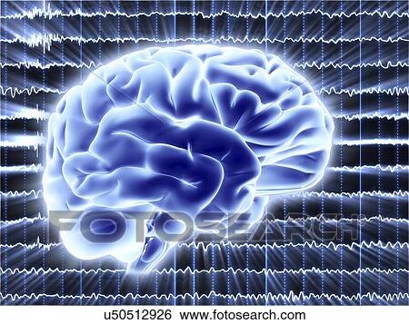 Brain activity, artwork View Large Illustration Stock Illustration - Brain activity, artwork. Fotosearch