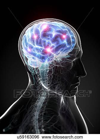 Brain activity, artwork View Large Illustration Stock Illustration - Brain activity, artwork. Fotosearch