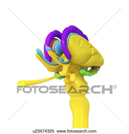 Stock Illustration - Brain anatomy, artwork. Fotosearch