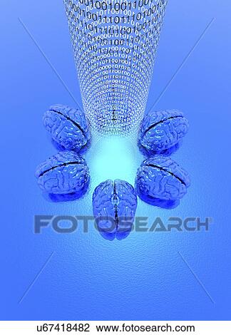 Brain mapping, conceptual artwork View Large Illustration Drawing - Brain mapping, conceptual artwork. Fotosearch
