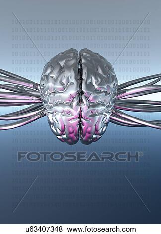 Brain mapping, conceptual artwork View Large Illustration Stock Illustration - Brain mapping, conceptual artwork. Fotosearch