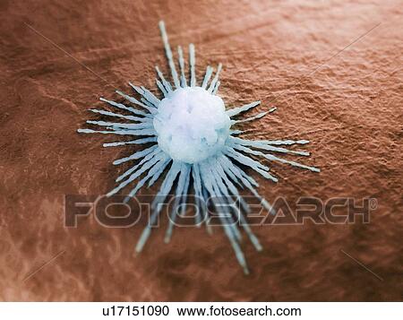 Clipart - Cancer cell, artwork. Fotosearch