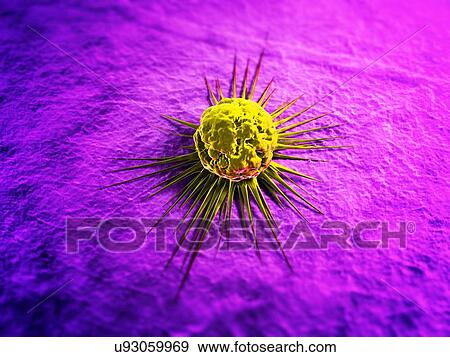 Cancer cell, artwork View Large Illustration Stock Illustration - Cancer cell, artwork. Fotosearch