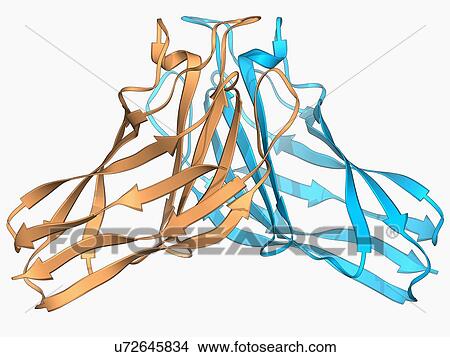 Cellulosome-integrating protein fragment View Large Illustration Stock Illustration - Cellulosome-integrating protein fragment. Fotosearch