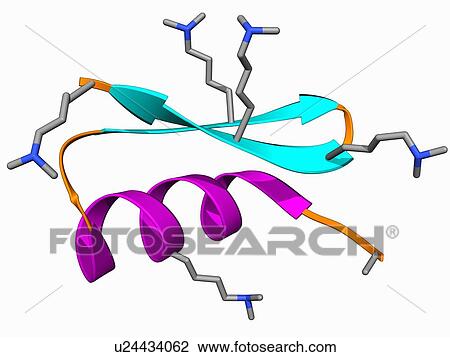 Drawing - Chinese scorpion toxin structure. Fotosearch