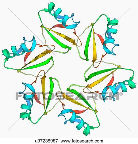 Chymotrypsin inhibitor 2 molecule View Large Illustration Stock Illustration - Chymotrypsin inhibitor 2 molecule. Fotosearch
