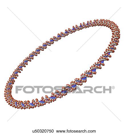 Circular DNA molecule, artwork View Large Illustration Clipart - Circular DNA molecule, artwork. Fotosearch