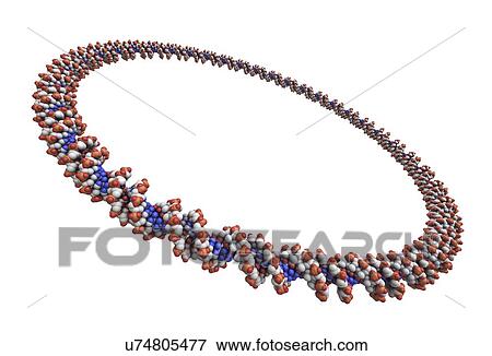 Stock Illustration - Circular DNA molecule, artwork. Fotosearch