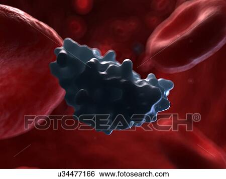 Stock Illustration - Circulating insulin, artwork. Fotosearch