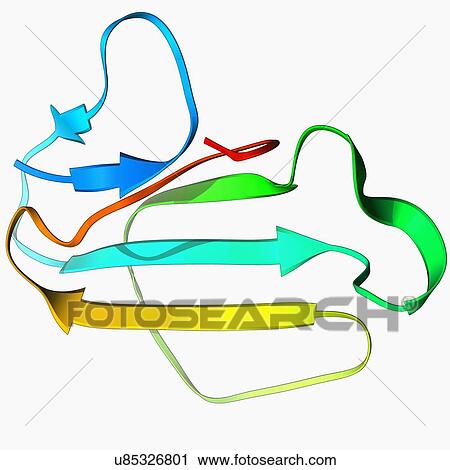 Clip Art - Cobra venom molecule. Fotosearch