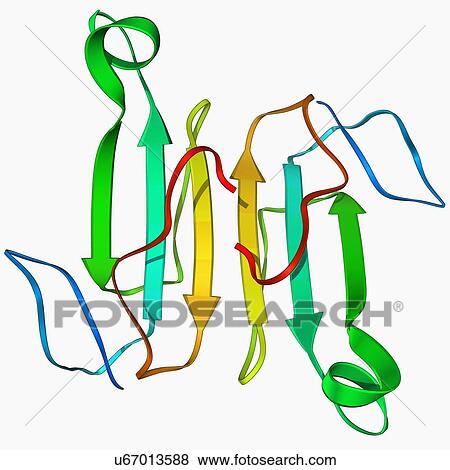 Cobra venom molecule View Large Illustration Stock Illustration - Cobra venom molecule. Fotosearch