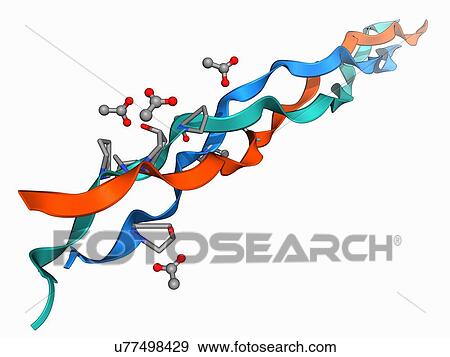 Stock Illustration - Collagen-like molecule. Fotosearch