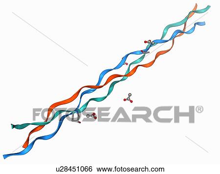 Stock Illustration - Collagen-like molecule T3-785. Fotosearch