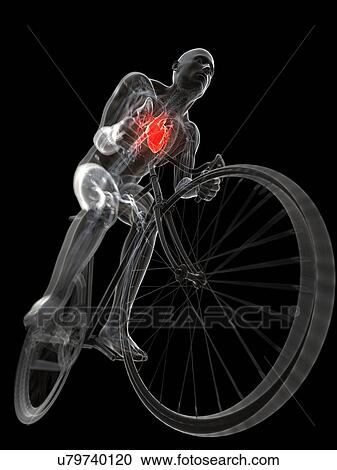 Cyclist, artwork View Large Illustration Clipart - Cyclist, artwork. Fotosearch
