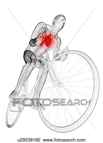 Cyclist, artwork View Large Illustration Drawing - Cyclist, artwork. Fotosearch
