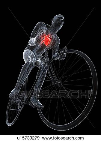 Stock Illustration - Cyclist, artwork. Fotosearch