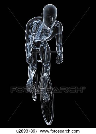 Stock Illustration - Cyclist, artwork. Fotosearch
