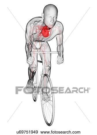 Stock Illustration - Cyclist, artwork. Fotosearch