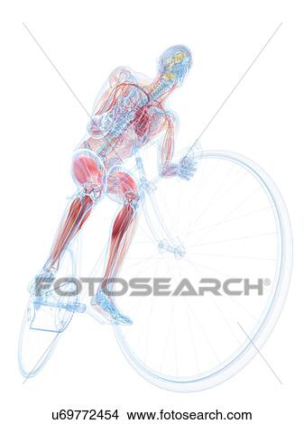 Cyclist, artwork View Large Illustration Stock Illustration - Cyclist, artwork. Fotosearch