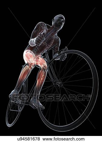 Cyclist, artwork View Large Illustration Stock Illustration - Cyclist, artwork. Fotosearch