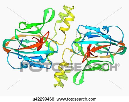 Stock Illustration - DNA gyrase protein segment. Fotosearch