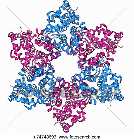 DNA helicase molecule View Large Illustration Drawing - DNA helicase molecule. Fotosearch