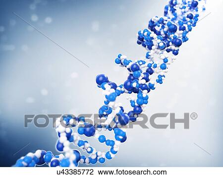 DNA molecule, artwork View Large Illustration Drawing - DNA molecule, artwork. Fotosearch