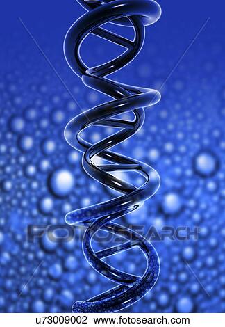 Drawing - DNA molecule, artwork. Fotosearch