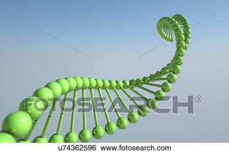 Stock Illustration - DNA molecule, artwork. Fotosearch