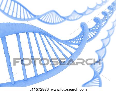 DNA molecules, artwork View Large Illustration Stock Illustration - DNA molecules, artwork. Fotosearch