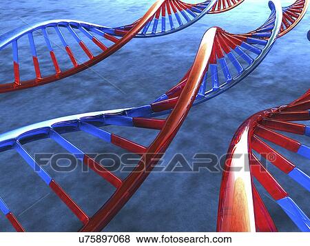 DNA molecules, artwork View Large Illustration Stock Illustration - DNA molecules, artwork. Fotosearch