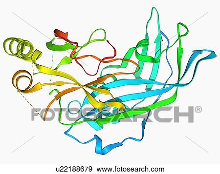 Stock Illustration - Ebola matrix protein molecule. Fotosearch