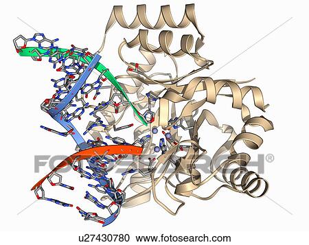 Endonuclease IV molecule Clipart | u27430780 | Fotosearch
