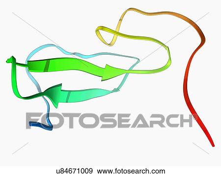 Epidermal growth factor molecule View Large Illustration Stock Illustration - Epidermal growth factor molecule. Fotosearch