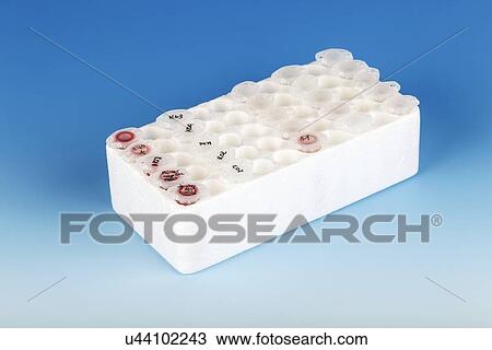 Eppendorf tubes in a rack View Large Illustration Drawing - Eppendorf tubes in a rack. Fotosearch