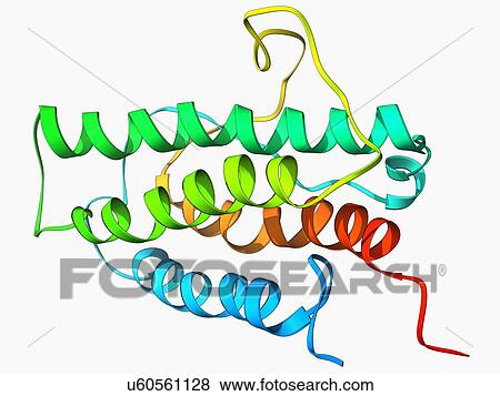Erythropoietin hormone molecule View Large Illustration Stock Illustration - Erythropoietin hormone molecule. Fotosearch