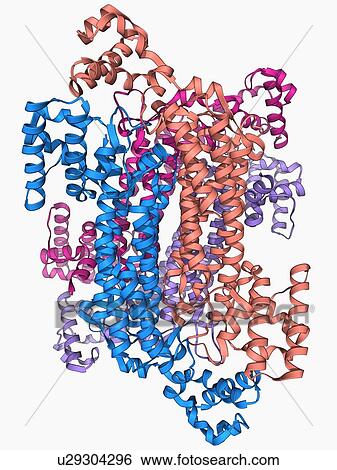 Stock Illustration - Eye lens protein molecule. Fotosearch