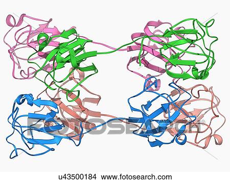 Stock Illustration - Eye lens protein molecule. Fotosearch
