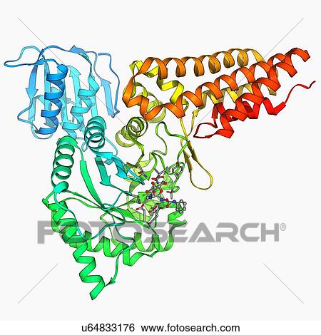 Stock Illustration - Family 84 glycoside hydrolase molecule. Fotosearch
