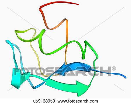 Stock Illustration - Fish antifreeze protein. Fotosearch