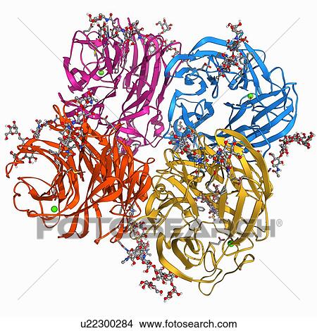Flu virus surface protein molecule View Large Illustration Stock Illustration - Flu virus surface protein molecule. Fotosearch